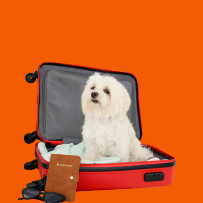 Travel